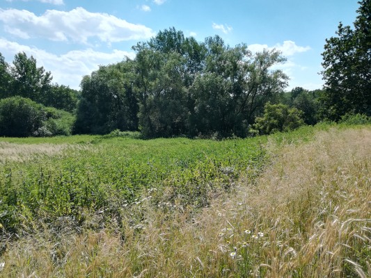 Soustavy tůní v okolí Bystřice